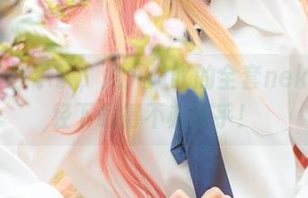好吧，我承认，九九八吖的全套neko我已经下载得不亦乐乎！