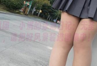 森萝财团 – 小满的泳池日记：无圣光出现，请把好风景装进图集中！
